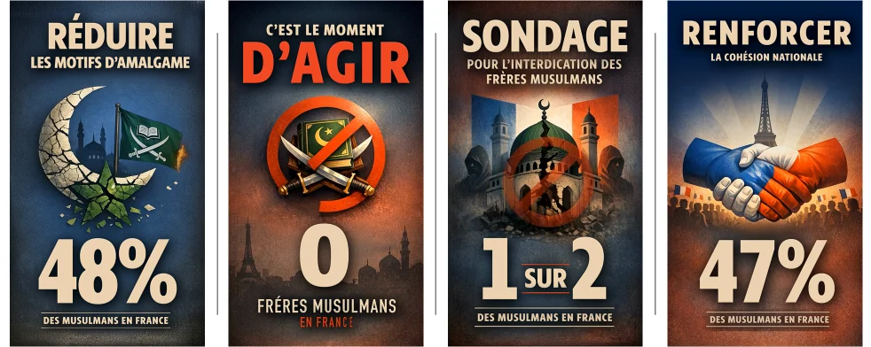 Figure 25. French-language advertisements citing polling figures on Muslims in France.